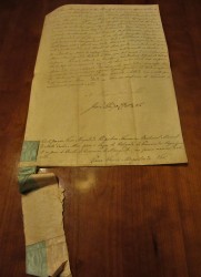 Carta de Nomeação da Raínha D. Maria II, nomeando o Bacharel Manuel de Mello Castro e Abreu, para o Lugar de Procurador Régio junto do Juíz de Direito da Comarca de Mangualde.